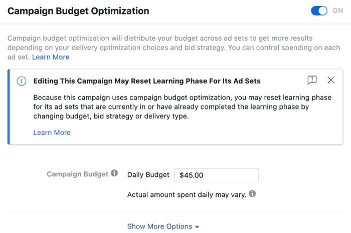 Facebook campaign budget optimization